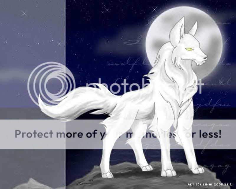 animewolf.jpg