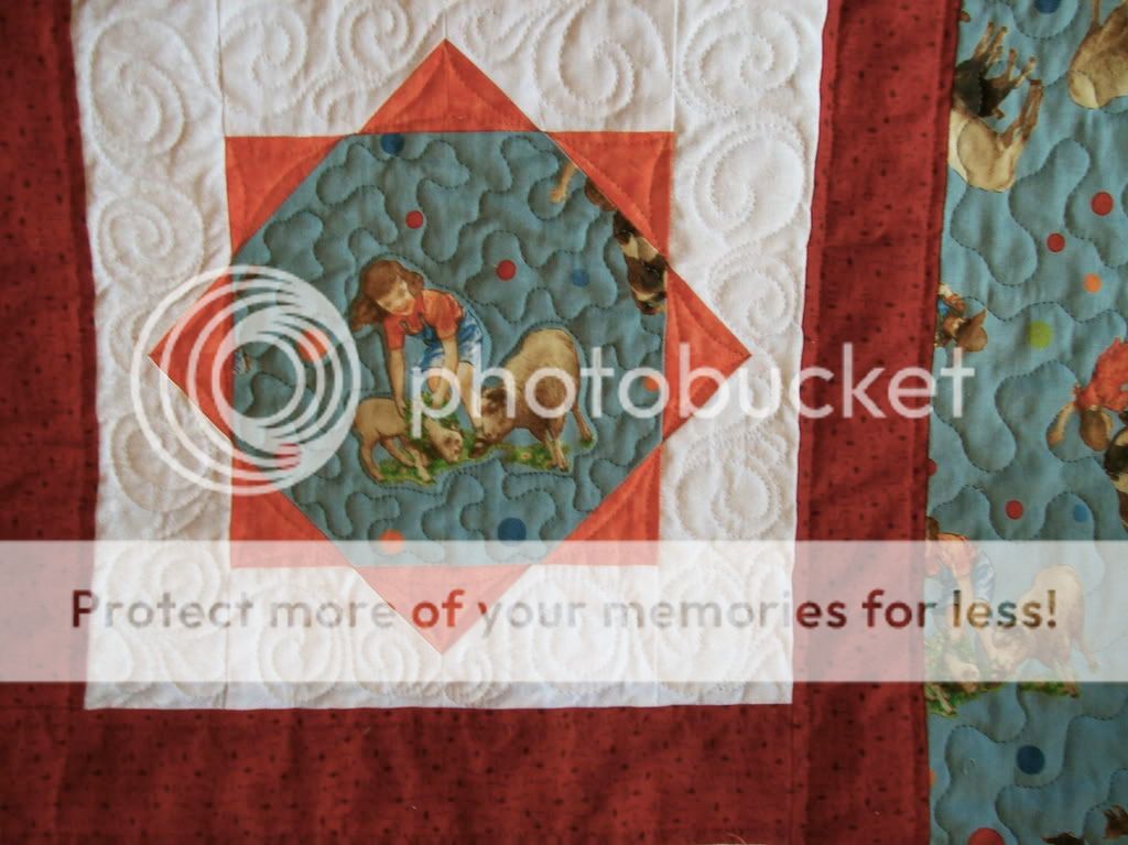 alayana's quilt detail 2