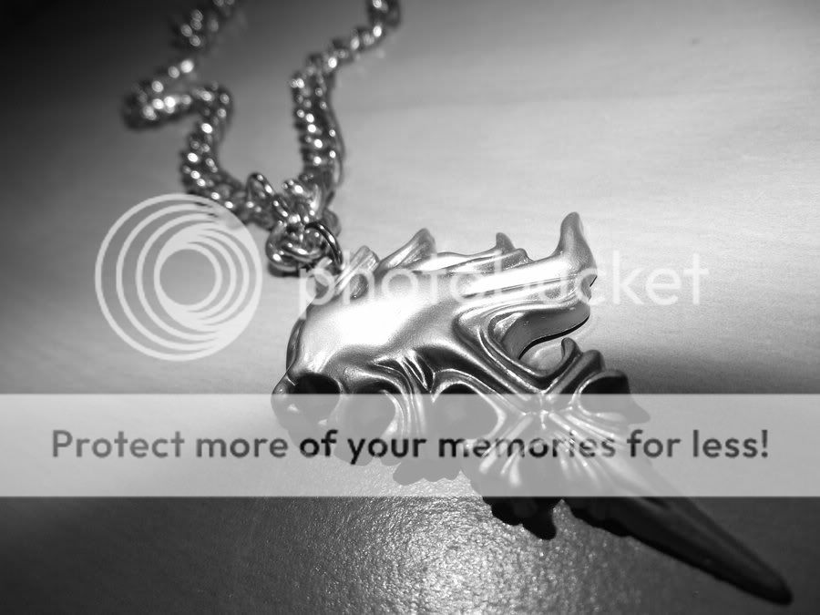 Lionheart Necklace Photo. Photo by vergil3211 Photobucket