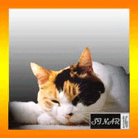 Add.gif thank's for add image by 3n4y